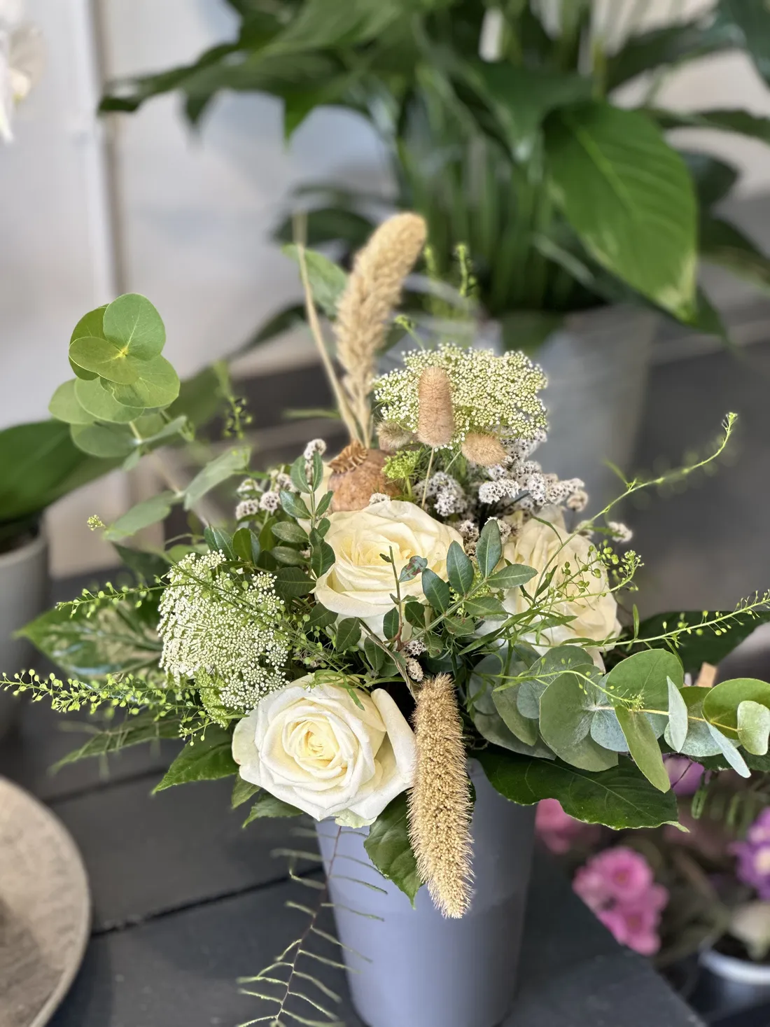 Dekorative Zimmerpflanze vom Blumenatelier Moers