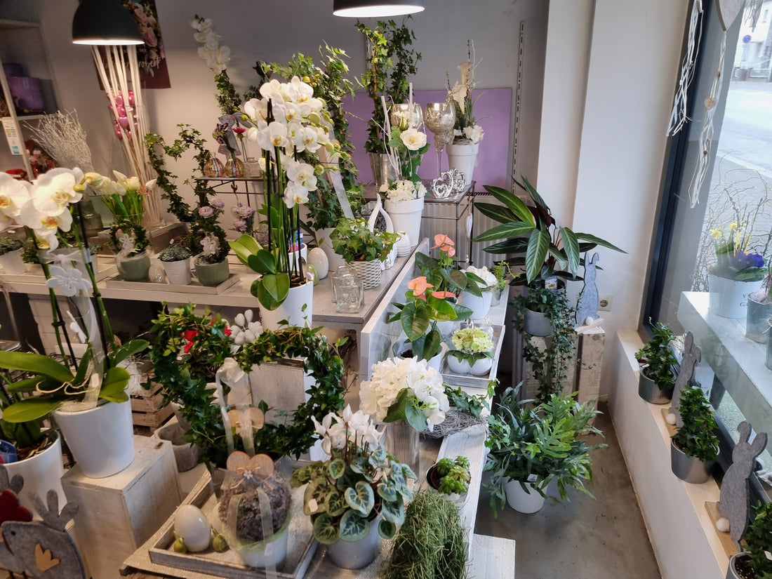 Aus Blümchen-Floristik wird Blumenatelier Moers